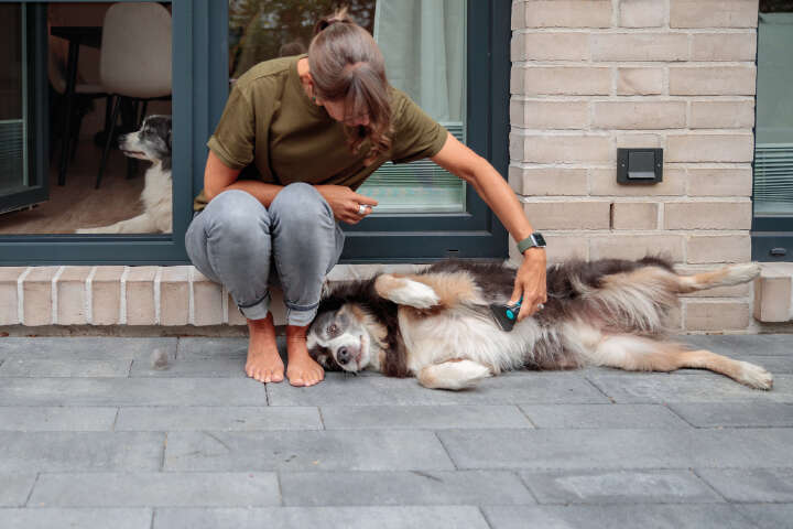 TRIXIE Carding-Striegel